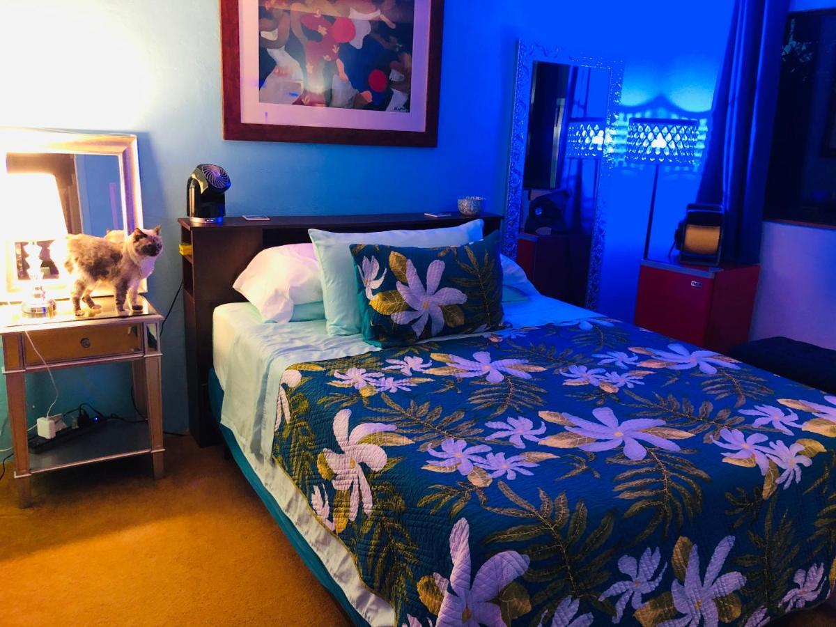 Kona Magic Honu Room 카일루아 코나 외부 사진